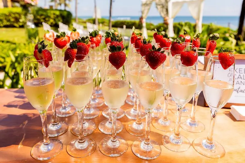 Hyatt Zilara Riviera Maya Adults Only All-Inclusive Lafitte